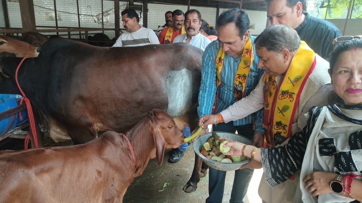 BJP4JnK's tweet photo. भाजपा जम्मू-कश्मीर अध्यक्ष एवं राज्यसभा सांसद श्री @iamsatsharmaca, भाजपा जम्मू कश्मीर ओबीसी मोर्चा अध्यक्ष श्री ब्रह्म ज्योत सत्ती, ज़िला अध्यक्ष श्री राजेश गुप्ता ने आज सेवा संकल्प अभियान के अंतर्गत “सेवा मेरा योगदान” कार्यक्रम के तहत जम्मू के तोप स्थित श्री राधा गोधाम मंदिर में भाजपा ओबीसी मोर्चा द्वारा आयोजित स्वच्छता अभियान एवं गोसेवा कार्यक्रम में सहभागिता की।

इस अवसर पर मंदिर में माथा टेककर पूजा-अर्चना की एवं आशीर्वाद प्राप्त किया। सेवा, स्वच्छता और गौसेवा के माध्यम से समाज के प्रति अपने दायित्वों को निभाने का यह संकल्प सभी के लिए प्रेरणादायी है।

#SevaSankalpAbhiyan #SevaMeraYogdan