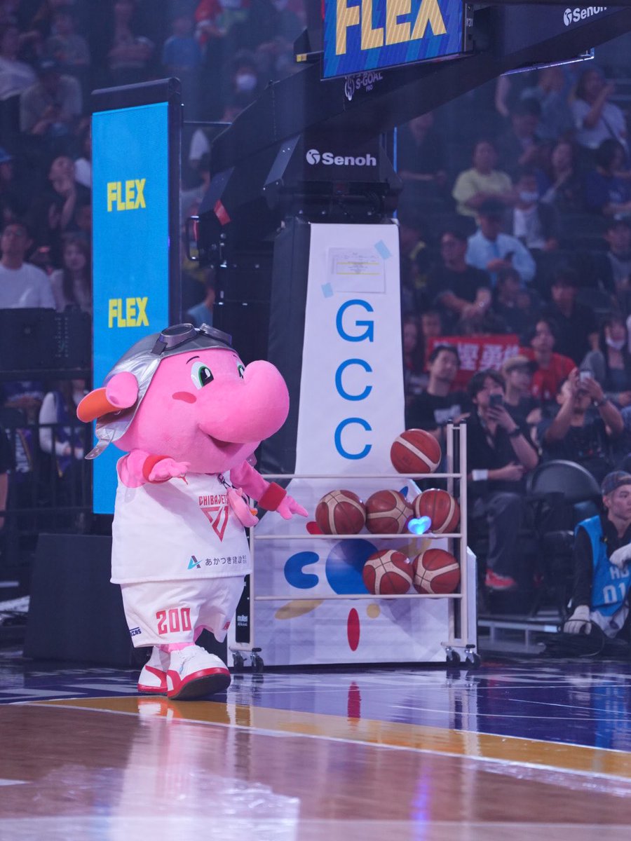yksh_531's tweet photo. とがちにボール渡せたよ🏀 https://t.co/8lWaqNjV0H