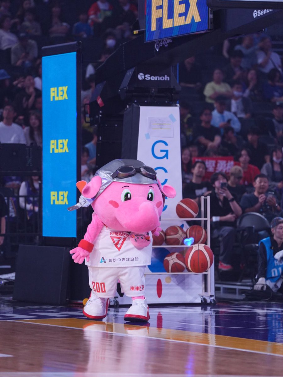 yksh_531's tweet photo. とがちにボール渡せたよ🏀 https://t.co/8lWaqNjV0H