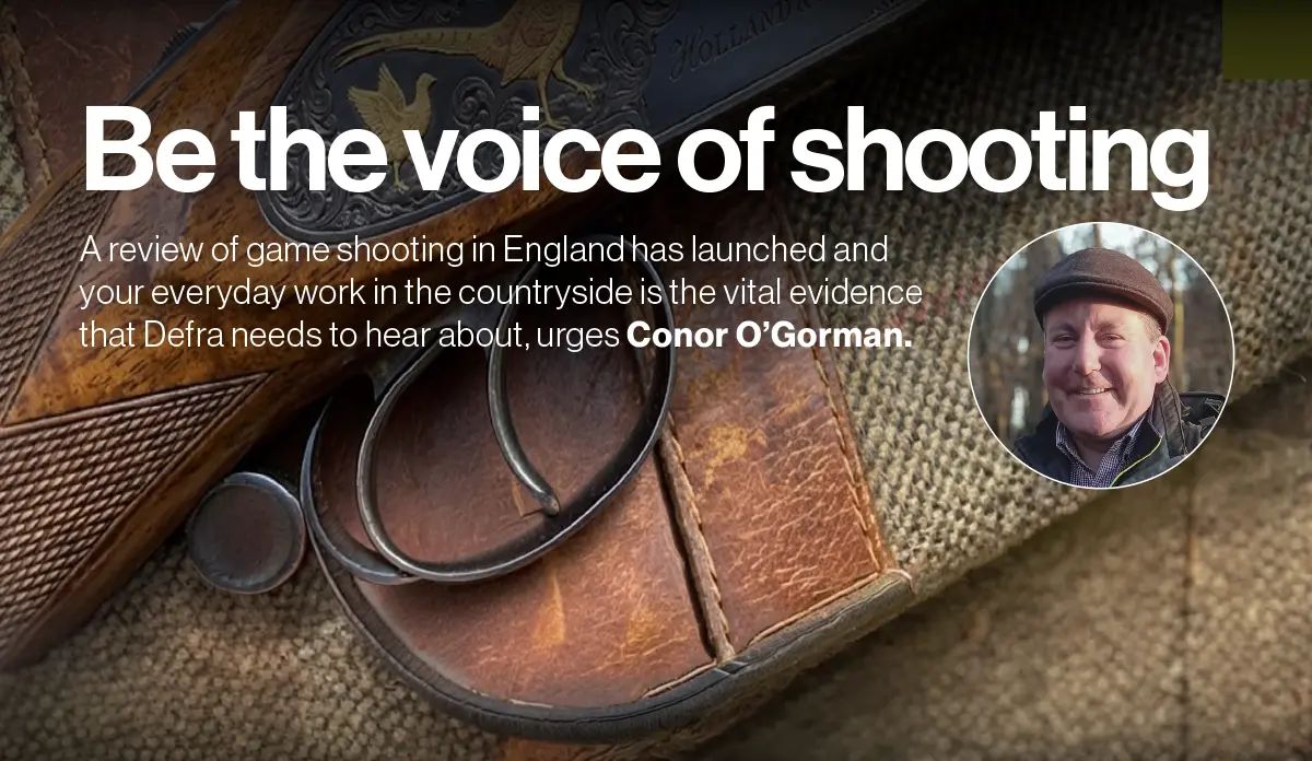 CountrySportMag's tweet photo. BASC's Conor O'Gorman discusses Defra's call for evidence on game shooting in England, the evidence being sought and submission routes. #BASC, #Legislation #Shooting #Pheasant #Partridge #CountrySports #News #fieldsports 

Read the article: https://t.co/xfARMoJGTu https://t.co/qojuMP80wG