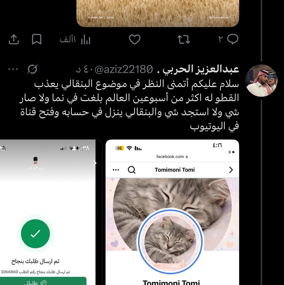 aziz22180's tweet photo. #بنقالي_يعذب_القطط_في_السعودية 
#بنقالي_يعذب_القطط_في_السعوديه 

باذن الله مسكته قريب 

الله يعزهم بس لايبرد الهاشتاق https://t.co/fwK8F5iToX