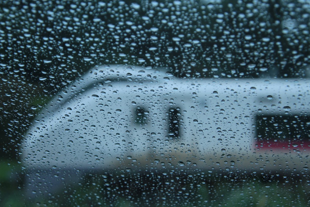 kero_oyagy's tweet photo. 2026.09.26
雨の日はガラス越しに
#E657 https://t.co/eD793N4Z5F