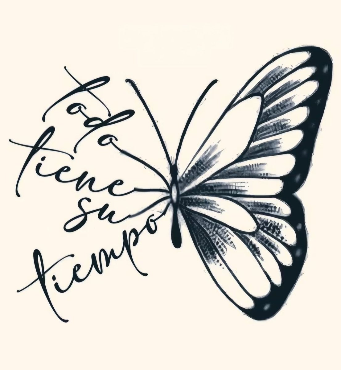 jordaninavarro's tweet photo. ✨ “Todo tiene su tiempo… y cada instante trae consigo la oportunidad de crecer, aprender y renacer.” ✨ https://t.co/W8TcuJOyDd