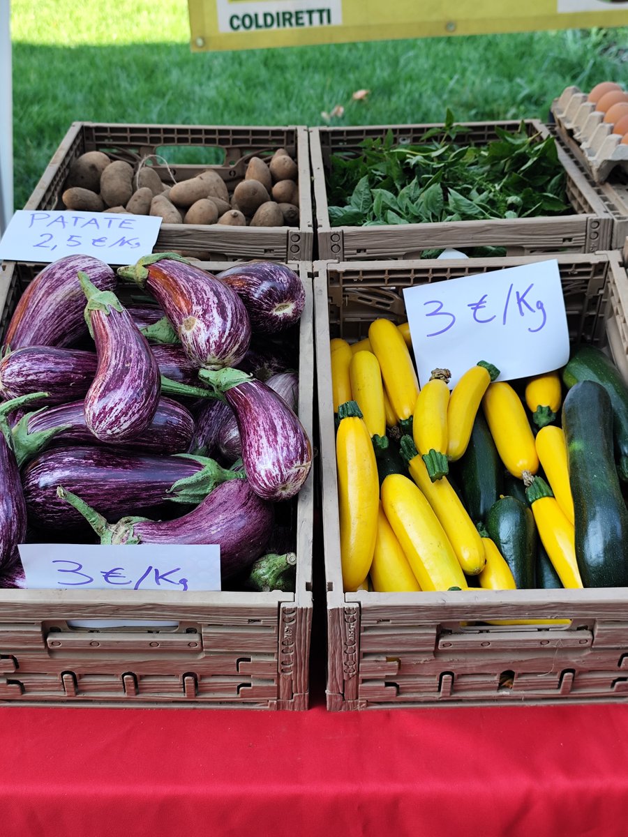 JackAndTimos's tweet photo. Sunday morning at the local organic farmers’ market, with everything sourced from nearby. #km0 #rho🌱🐾
#rescuedog https://t.co/LiLBaNvKXI