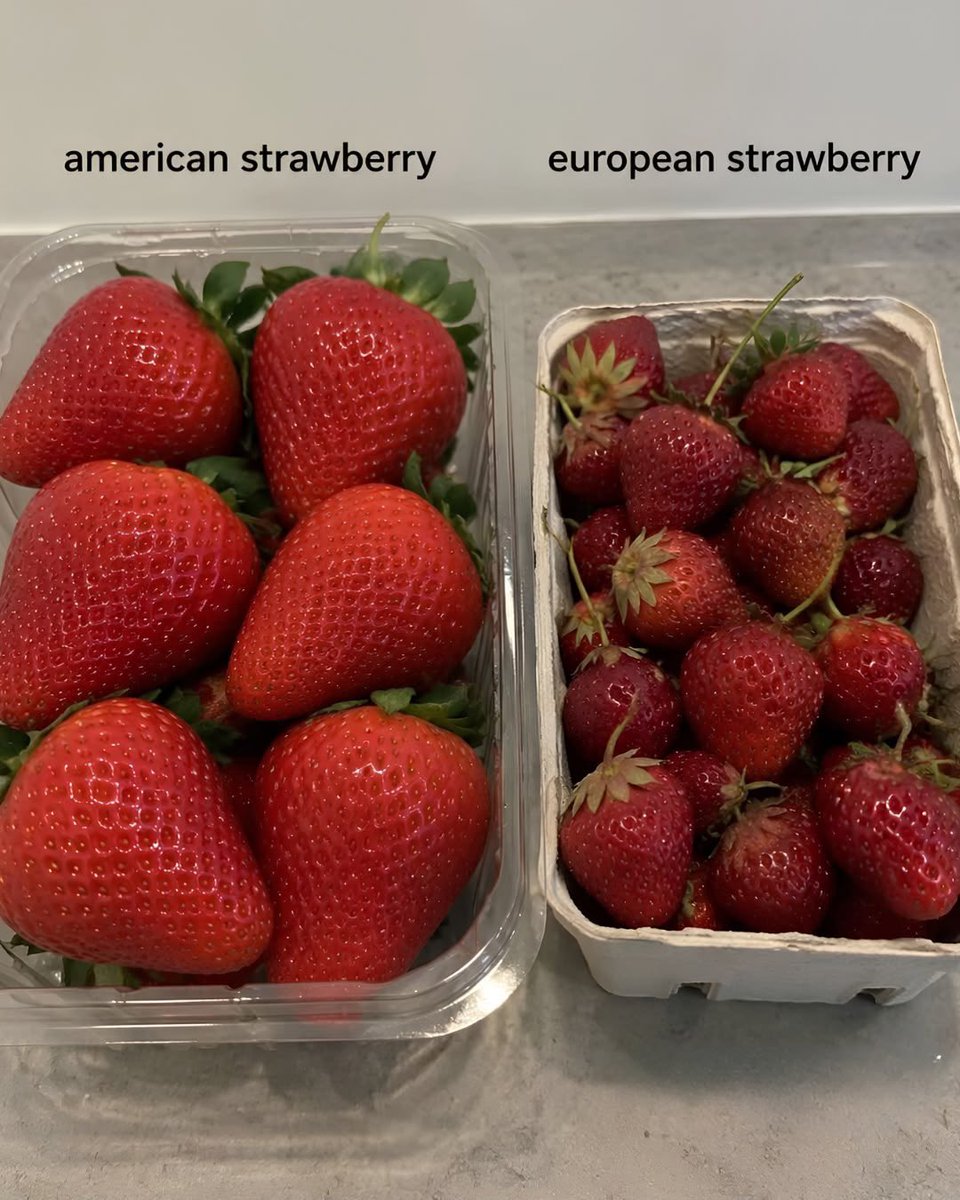 MagnusVigso's tweet photo. American vs European food https://t.co/95TibAjV7N