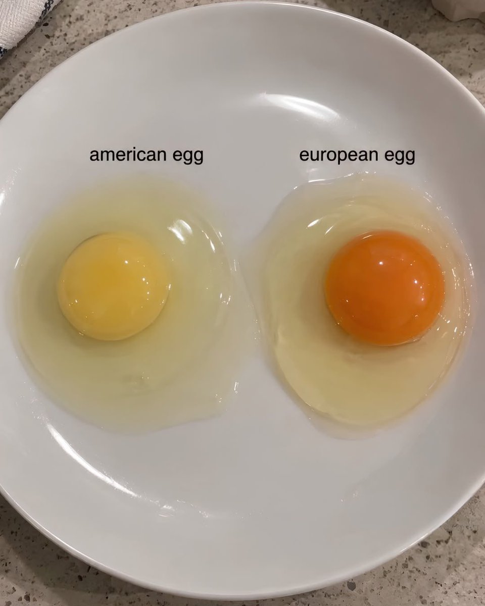 MagnusVigso's tweet photo. American vs European food https://t.co/95TibAjV7N