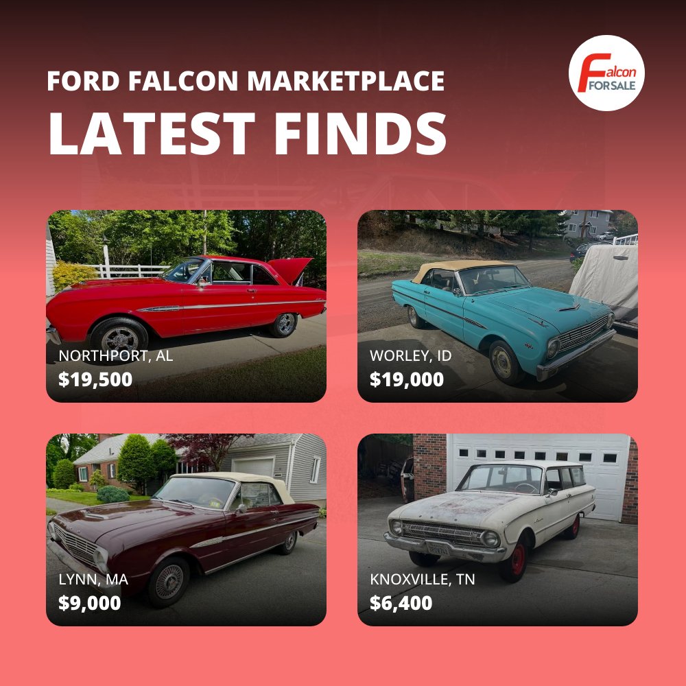 falconforsale's tweet photo. Check out new listings shared daily! Visit https://t.co/of1eeiZ9Ag https://t.co/s7YXJLBLdZ