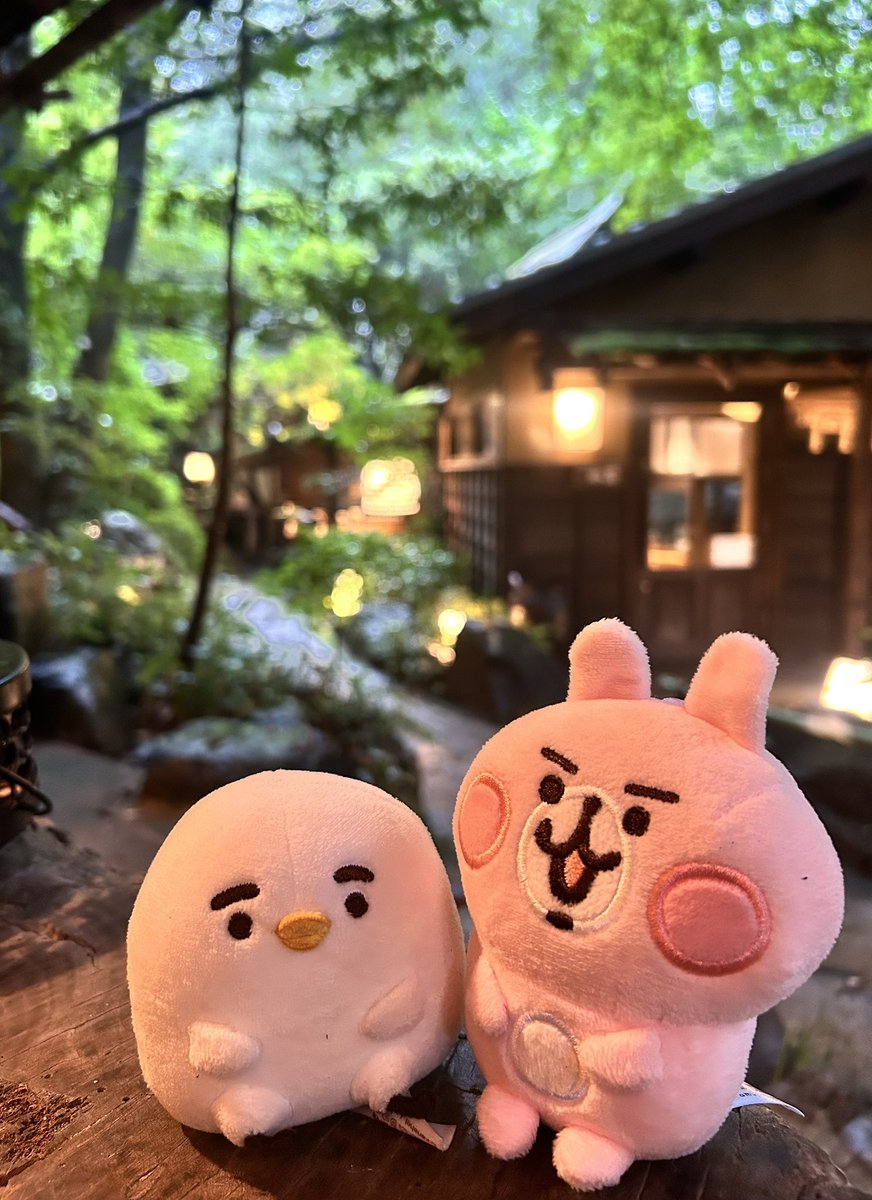piskenosuke's tweet photo. 楽しんだから帰りましょ😁😊 https://t.co/mJ1MOgEmw1