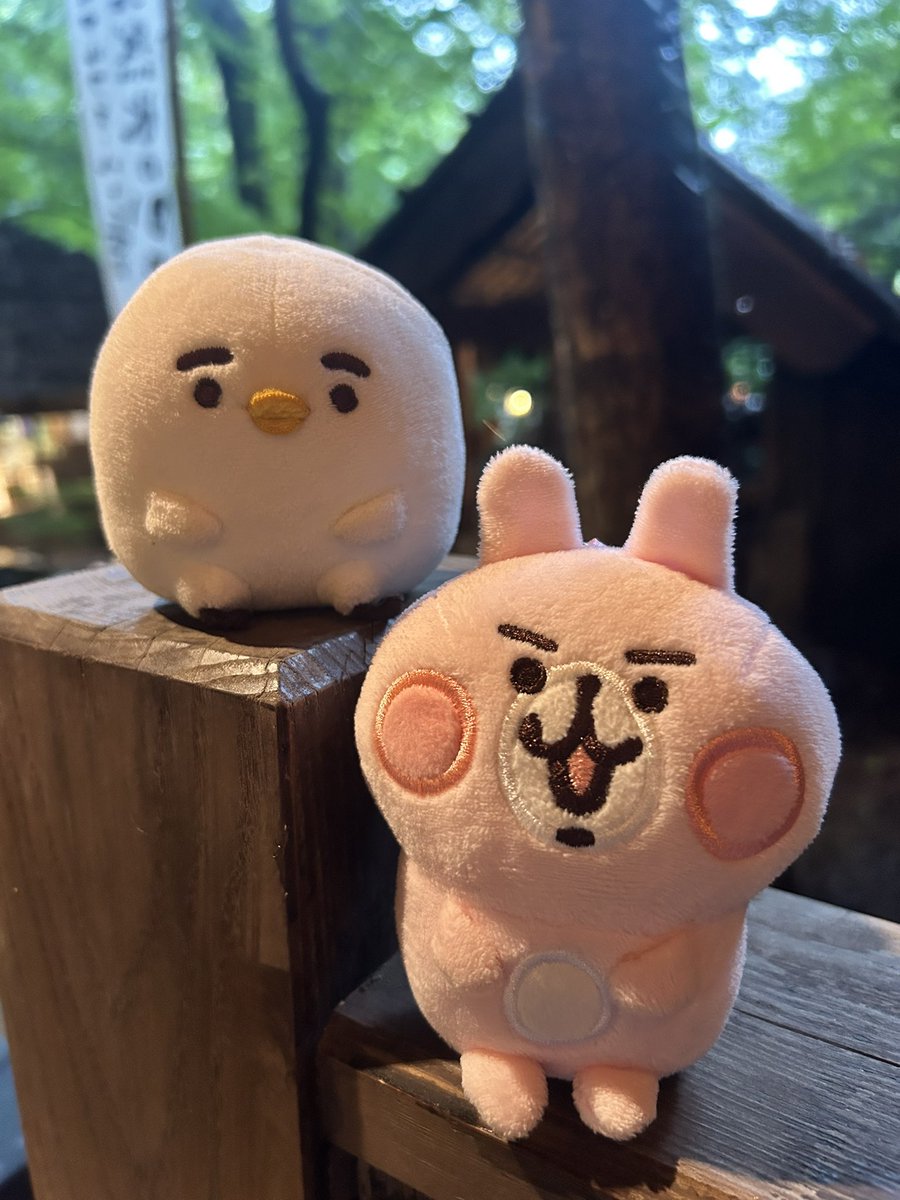 piskenosuke's tweet photo. 楽しんだから帰りましょ😁😊 https://t.co/mJ1MOgEmw1