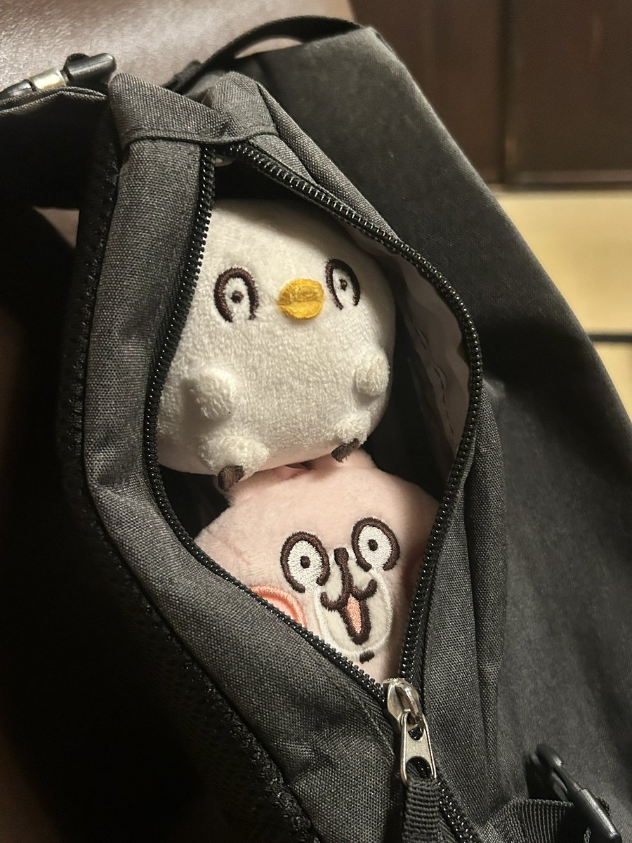 piskenosuke's tweet photo. 楽しんだから帰りましょ😁😊 https://t.co/mJ1MOgEmw1