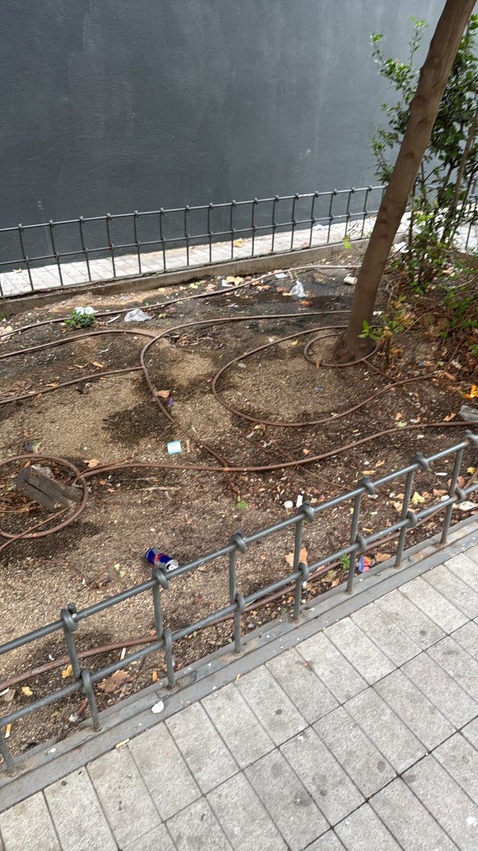 JRuizArcaute's tweet photo. Las zonas verdes de la plaza Juan Muñoz Martín. El vertedero en que se está convirtiendo Madrid es tremendo. Gente cerdísima y ayuntamiento impasible. @MADRID https://t.co/abUvgJn4p6