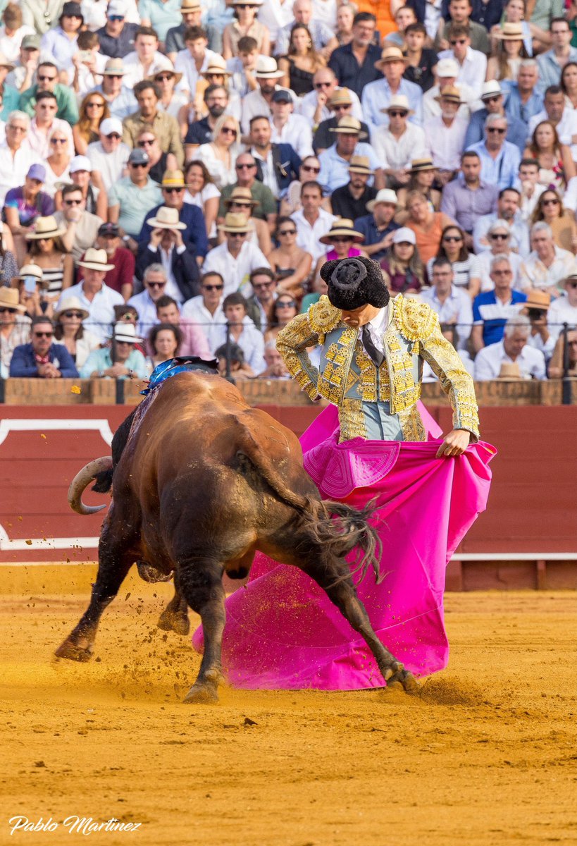 alvarocbllo_'s tweet photo. Supongo que uno nace y vive para ver torear así… 

Pablo Aguado, Príncipe de Sevilla. https://t.co/Xj7PmbxSNB