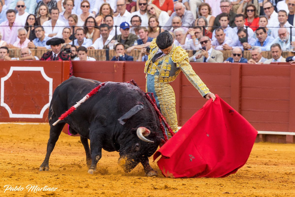 alvarocbllo_'s tweet photo. Supongo que uno nace y vive para ver torear así… 

Pablo Aguado, Príncipe de Sevilla. https://t.co/Xj7PmbxSNB