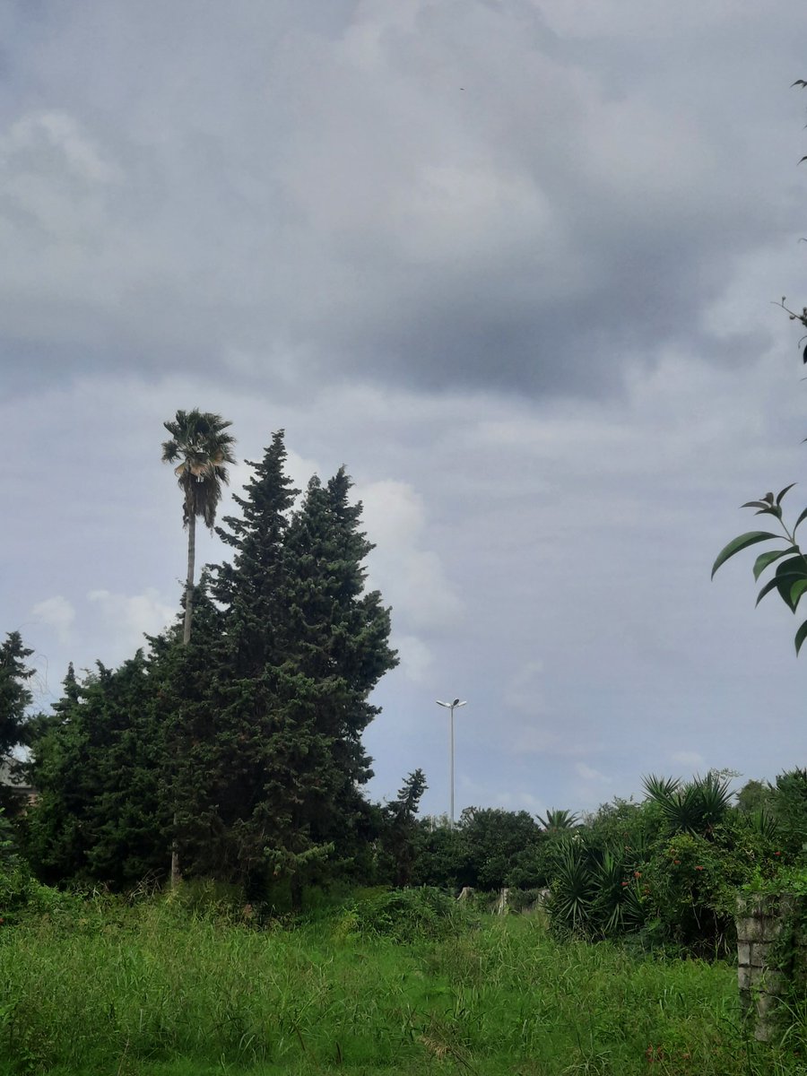 ariaeslami's tweet photo. شمالگان کشور🏝 https://t.co/U3u97J5wJJ