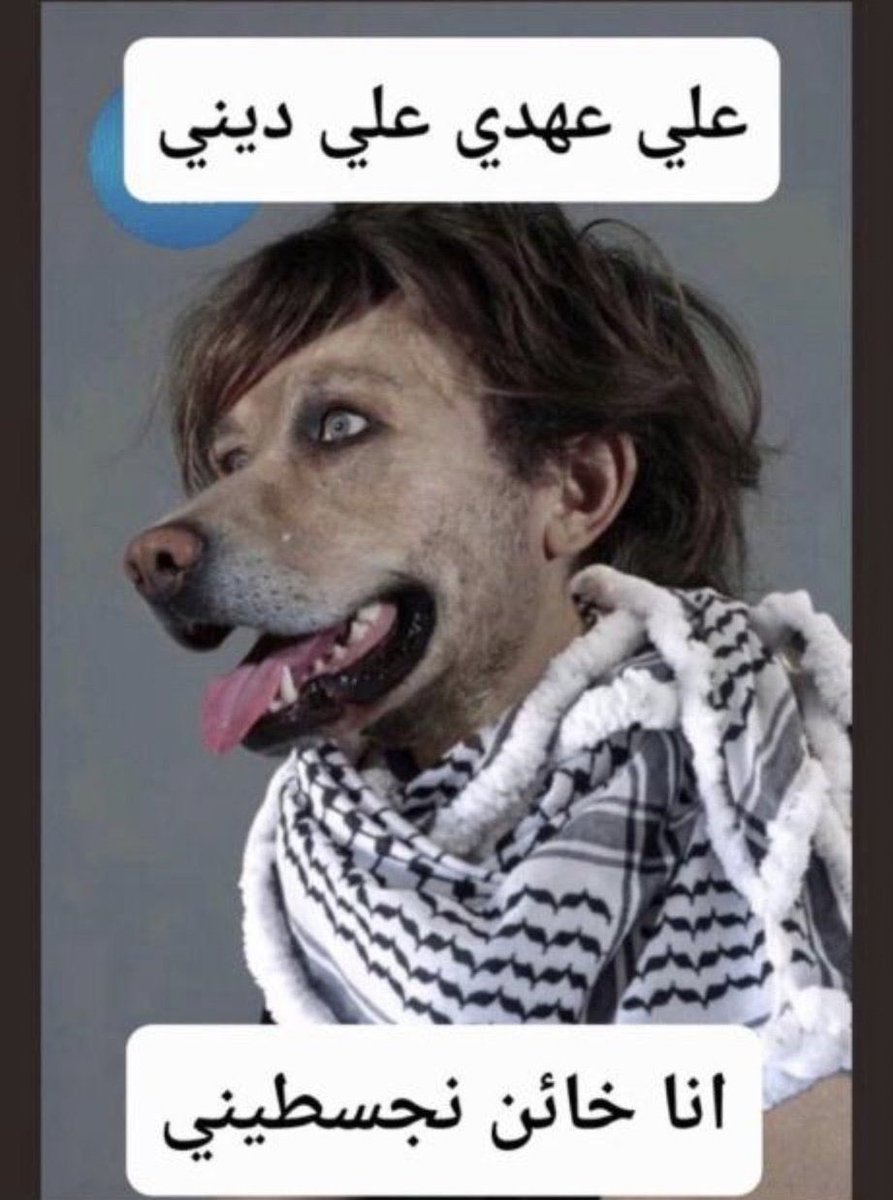 Mavrenrs's tweet photo. @h_bennajeh كل التضامن اللامشروط مع دولة إسرائيل الصديقة و الشقيقة 🇲🇦🇮🇱 https://t.co/4BLuH0k3Lc