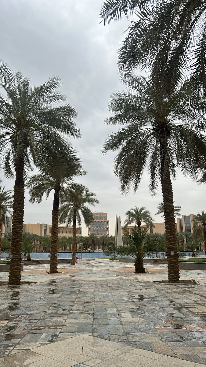 lsq1l's tweet photo. ياسلام ع هيك يوم https://t.co/M2D8CHJRI6