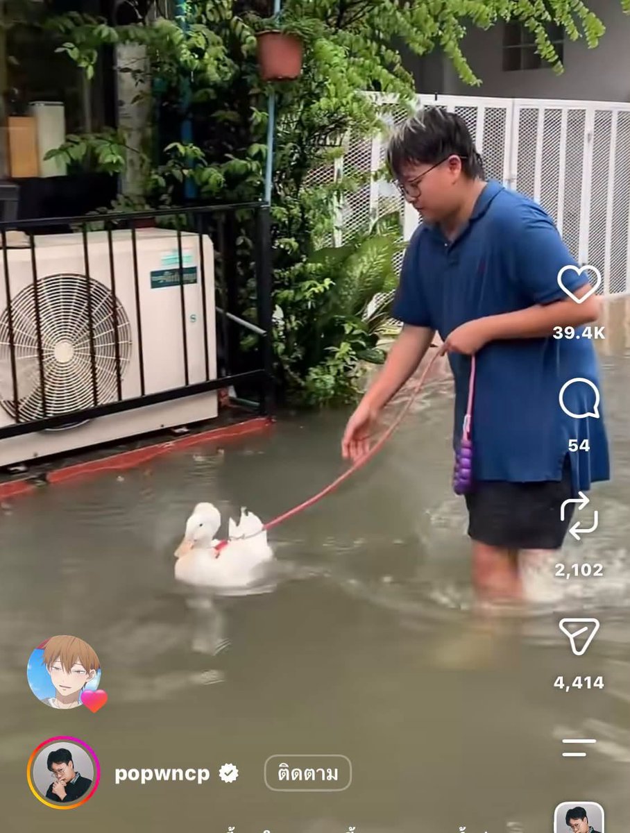 Hellojung's tweet photo. @Ema_onlyyuzu While the flood is serious but Thai people are always stay funny in every situation 😁 https://t.co/Msyhi8pstt
