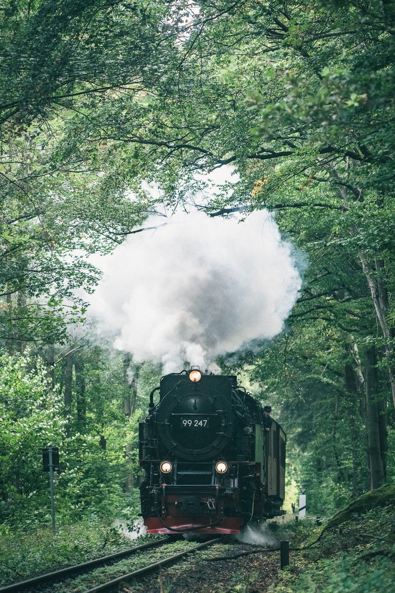 el_tren_de's tweet photo. ドイツ　ハルツ狭軌鉄道

チリ人オタク邸からStaßfurtに向かうのに、ちょうどハルツ狭軌鉄道の近くを通るので立ち寄った。

森の中を駆けるナロー蒸気、全オタクが好きなもの。

チリ人曰く「あと一ヶ月遅けりゃ紅葉真っ盛りだぜ、冬は樹氷がモリモリだ！」とのことなので、秋も冬も再訪しなければ。 https://t.co/h9abmnzgQo