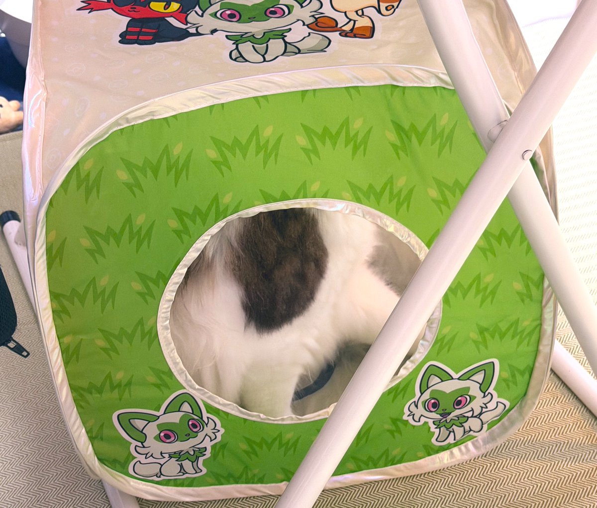 dunkel_heid's tweet photo. 友達がくれた〜！そして入った😻 https://t.co/L4hqaKLozk