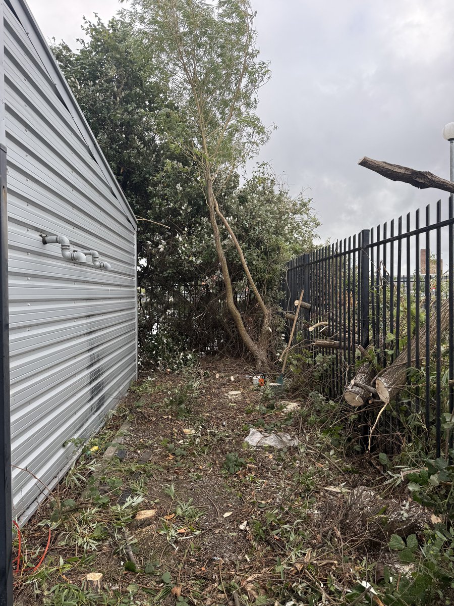 LumbersNW's tweet photo. Recent Clearance Works | Birkenhead, Wirral.
#TreeSurgeryWirral #GroundsMaintenanceWirral #GardenMaintenanceWirral #TreeSurgeonChester #TreeSurgeonLiverpool #TreeSurgeonWirral #WirralBusiness #Liverpool #Wirral #Chester #SiteClearance #VegetationManagement #JobWellDone https://t.co/93wp7UyWLu