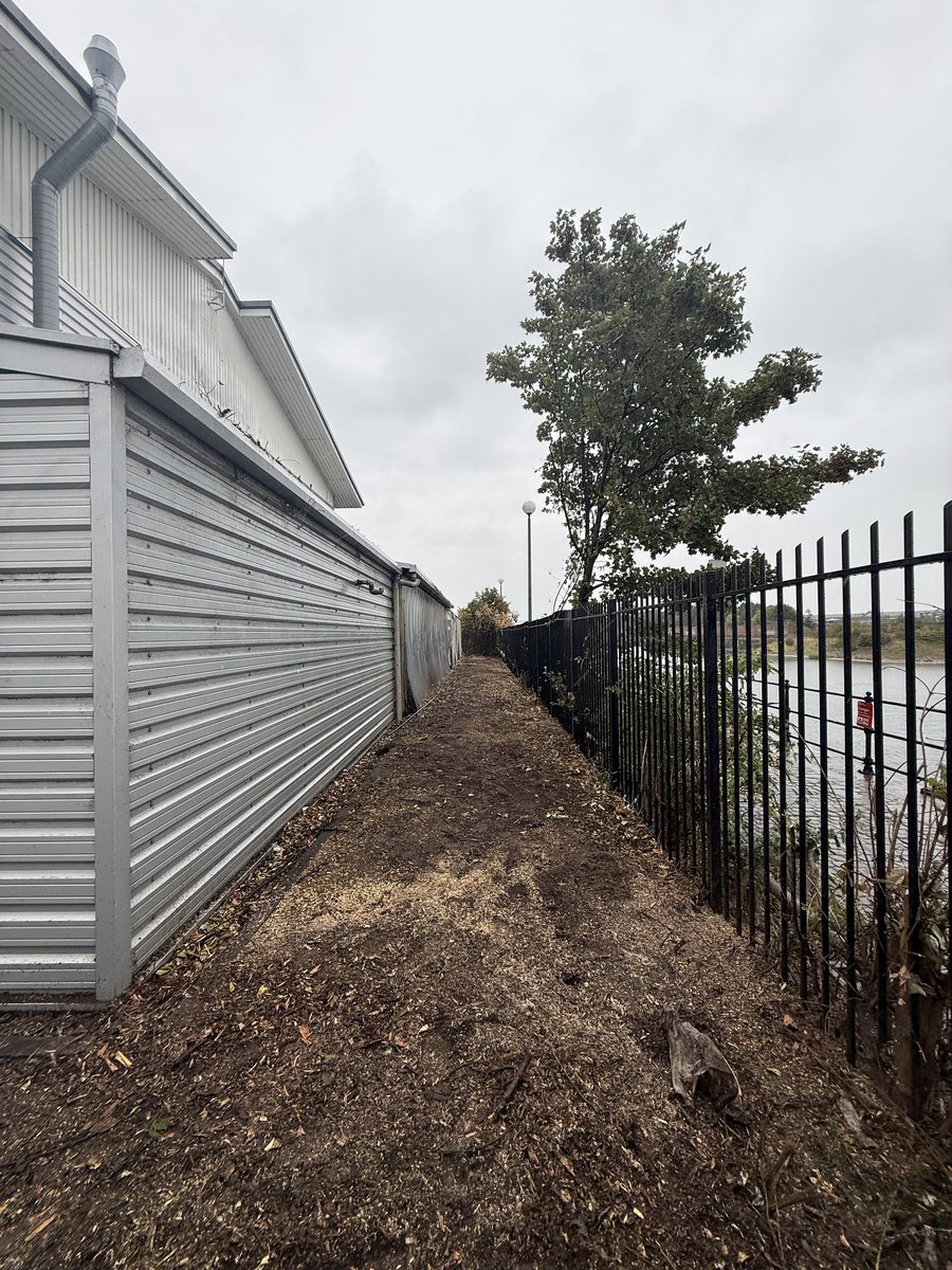 LumbersNW's tweet photo. Recent Clearance Works | Birkenhead, Wirral.
#TreeSurgeryWirral #GroundsMaintenanceWirral #GardenMaintenanceWirral #TreeSurgeonChester #TreeSurgeonLiverpool #TreeSurgeonWirral #WirralBusiness #Liverpool #Wirral #Chester #SiteClearance #VegetationManagement #JobWellDone https://t.co/93wp7UyWLu