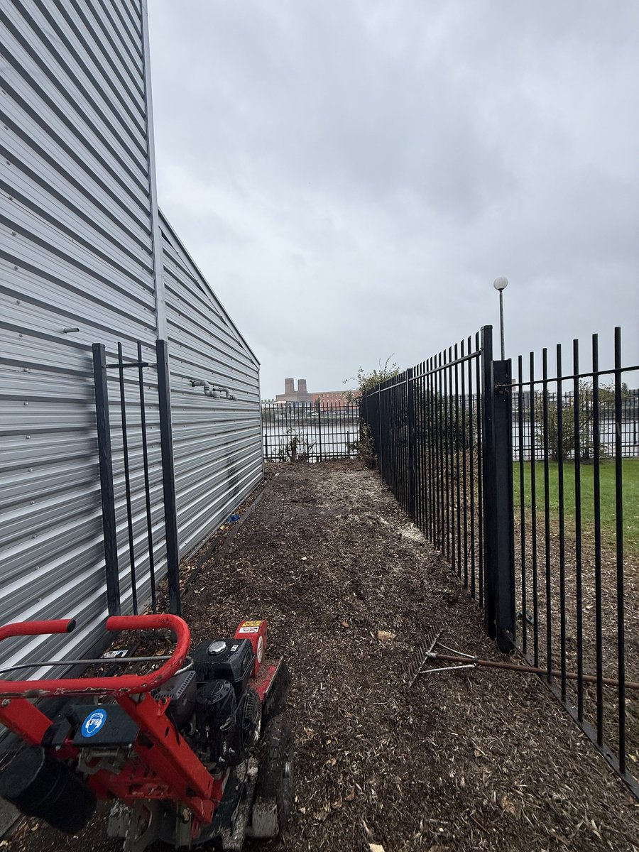 LumbersNW's tweet photo. Recent Clearance Works | Birkenhead, Wirral.
#TreeSurgeryWirral #GroundsMaintenanceWirral #GardenMaintenanceWirral #TreeSurgeonChester #TreeSurgeonLiverpool #TreeSurgeonWirral #WirralBusiness #Liverpool #Wirral #Chester #SiteClearance #VegetationManagement #JobWellDone https://t.co/93wp7UyWLu