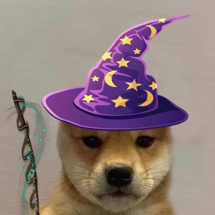 Wintalt's tweet photo. "Financial DDOS" is what everybody is calling this meta.

Cashcat on Robinhood made everybody rich. 

DDOS (Donation Dog Of Solana) does that here.

Get blessed by it's touch, and money magically appears in your @XMoney. Lot's of it. We all wish for a visit from DDOS. Earn @UsePaid by holding.