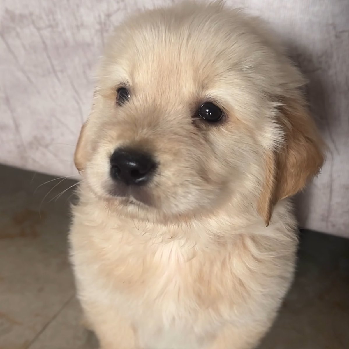 keirfleurs's tweet photo. ตุ๋ยดุ๋ย https://t.co/rX7EIgEFht