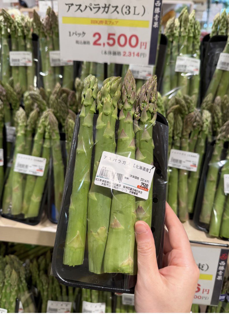 jokdm42849525's tweet photo. 🌱アスパラ好き必見企画🌱

『日本産🌱アスパラガス 5㎏（8,000円相当）』

抽選で5名様にお届け✨

【応募方法はこちら⬇️】
・本アカウントをフォロー
・リポスト🔁＆いいね❤️

応募締切：9/30 23:59

#懸賞 #プレゼント企画 #キャンペーン #懸賞好きさんと繋がりたい #プレゼント #アスパラガ https://t.co/Z6Ejvr1rCa