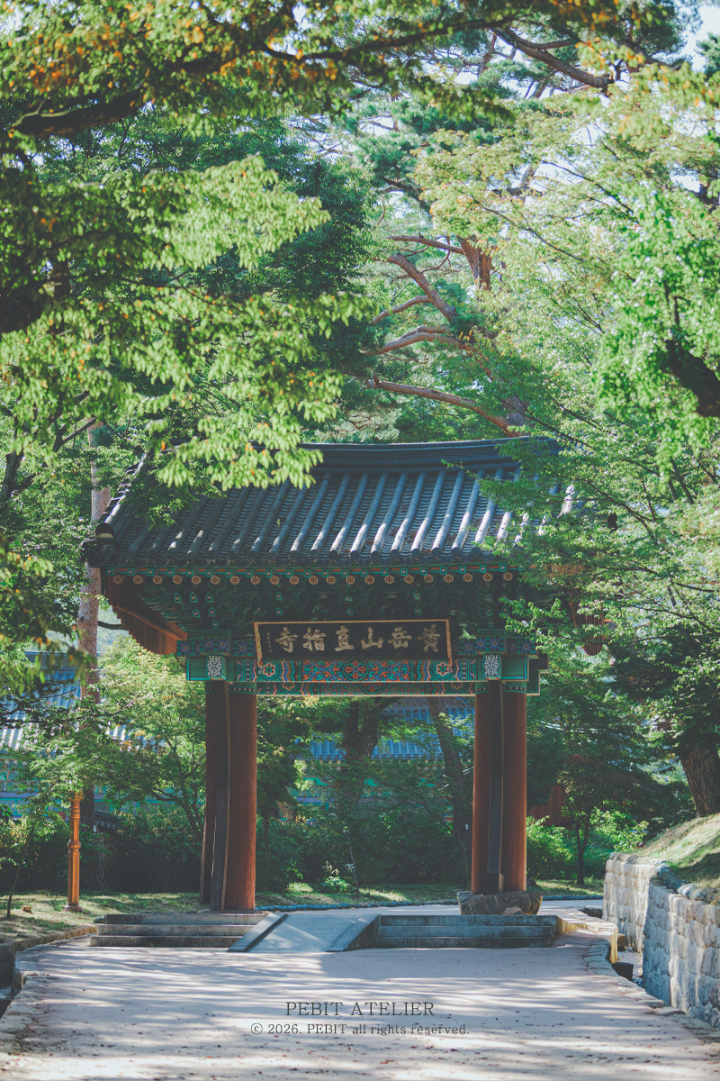 _pebit_'s tweet photo. 한국식, 차원의 문 https://t.co/WqjXNnvCNT
