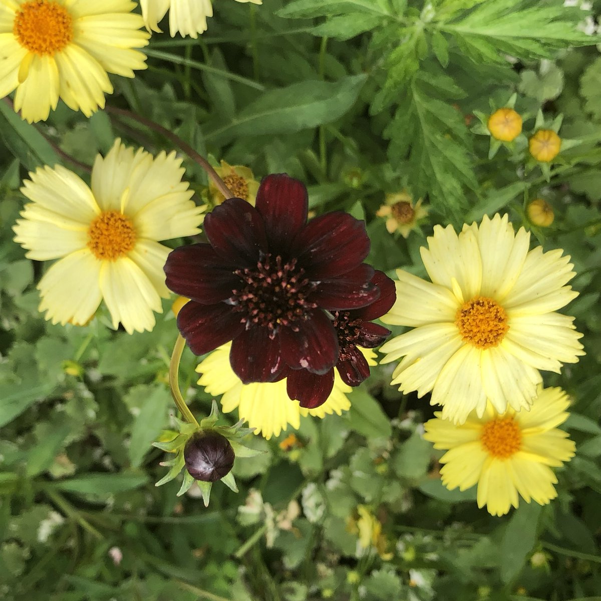 un_sept's tweet photo. おはよう♪♪ https://t.co/zLMX1DQBoQ