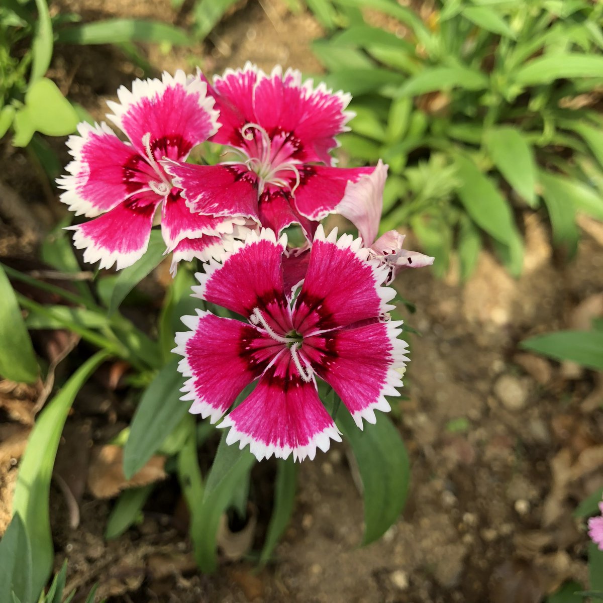 un_sept's tweet photo. おはよう♪♪ https://t.co/zLMX1DQBoQ