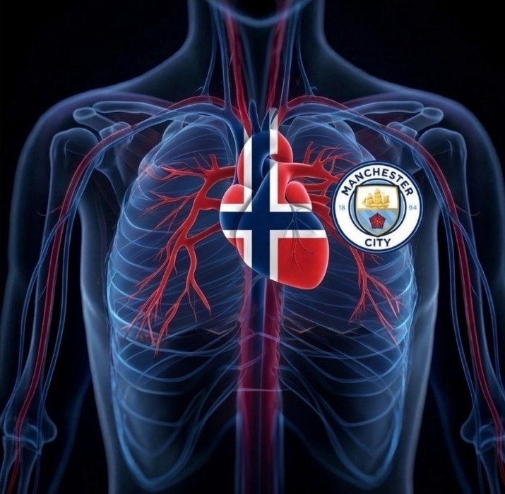 joyallyison's tweet photo. Every Man City fan today 😊🫂 https://t.co/8sQVR7ugRH