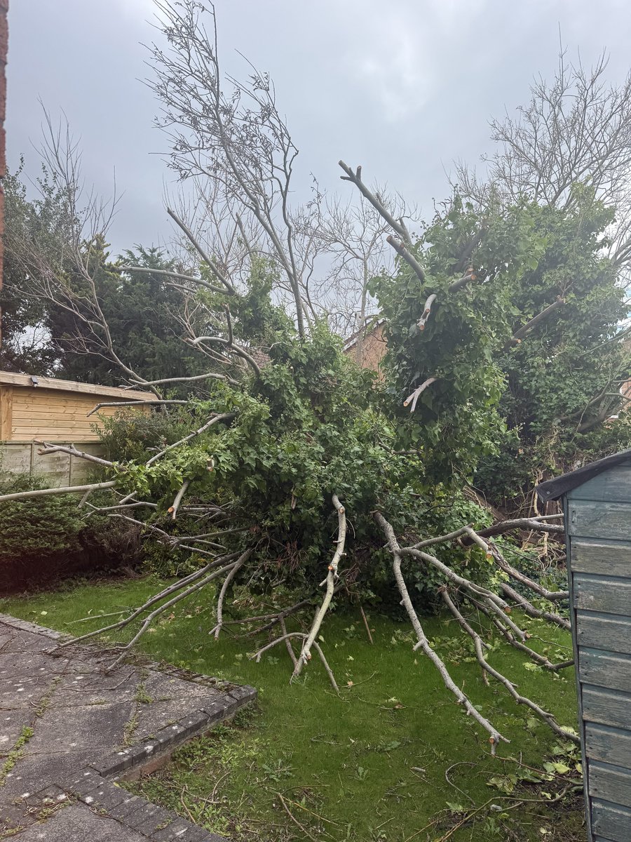 LumbersNW's tweet photo. Failed Tree Dismantle Carried Out in Wirral
Got a tree that’s dead, unsafe or causing concern? We’ve got you covered.
#WirralBusiness #TreeSurgeon #TreeRemoval #GroundsMaintenance #Cheshire #Liverpool #Neston #NorthWales #wirral #treesurgerywirral #groundsmaintenancewirral https://t.co/oBItiIv46C