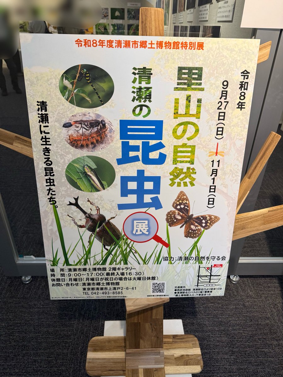 YasunoriKagawa's tweet photo. 昨日、清瀬市郷土博物館の「里山の自然・清瀬の昆虫展」プレオープンに参加しました。清瀬に生きる昆虫を、写真や標本で紹介する特別展です。

今日から11月1日まで、郷土博物館2階で開催。清瀬の身近な自然に目を向けるきっかけになりそうです。

詳しくはこちら👇
https://t.co/zfNEvzhAja https://t.co/glzLRa4uZt