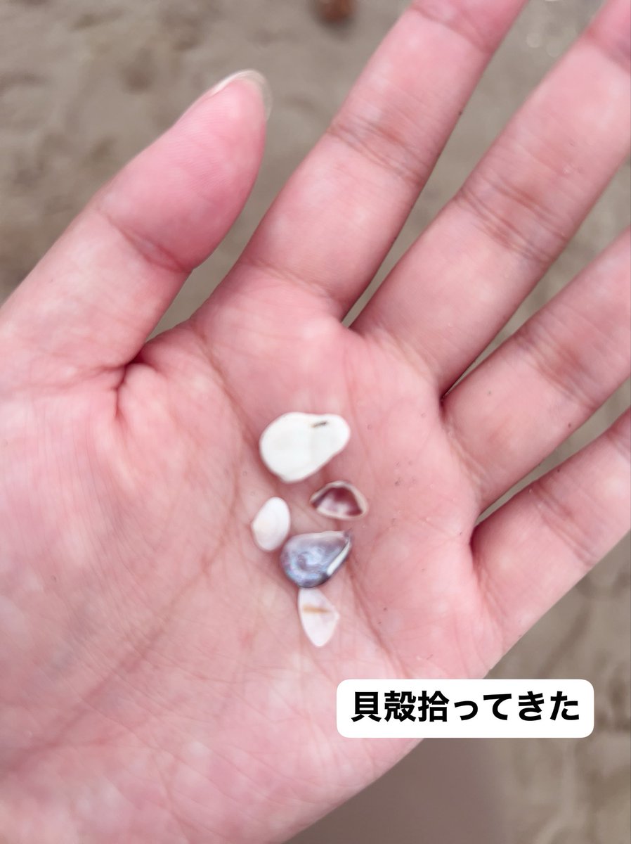 OceanRoots000's tweet photo. 使うパーツやデザインにまるいのが多いのは命のめぐりを表したためです。

すべての生命は海から始まったという意味合いも込めて、Ocean Rootsという屋号にしました。
 #海  #屋号の意味  #貝殻 https://t.co/BUU6f6tuRQ