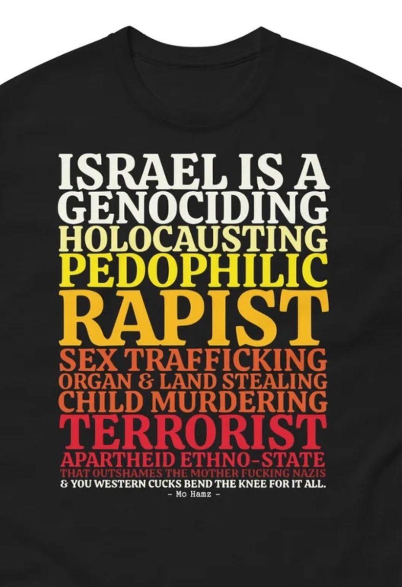 HussainShafiei's tweet photo. You can buy this from @ayamollah shop. 

I am sure he will link it for you in his comments when he is awake. 

You can wear it with pride and know that every word of it is true. https://t.co/YwQwPtBpzx