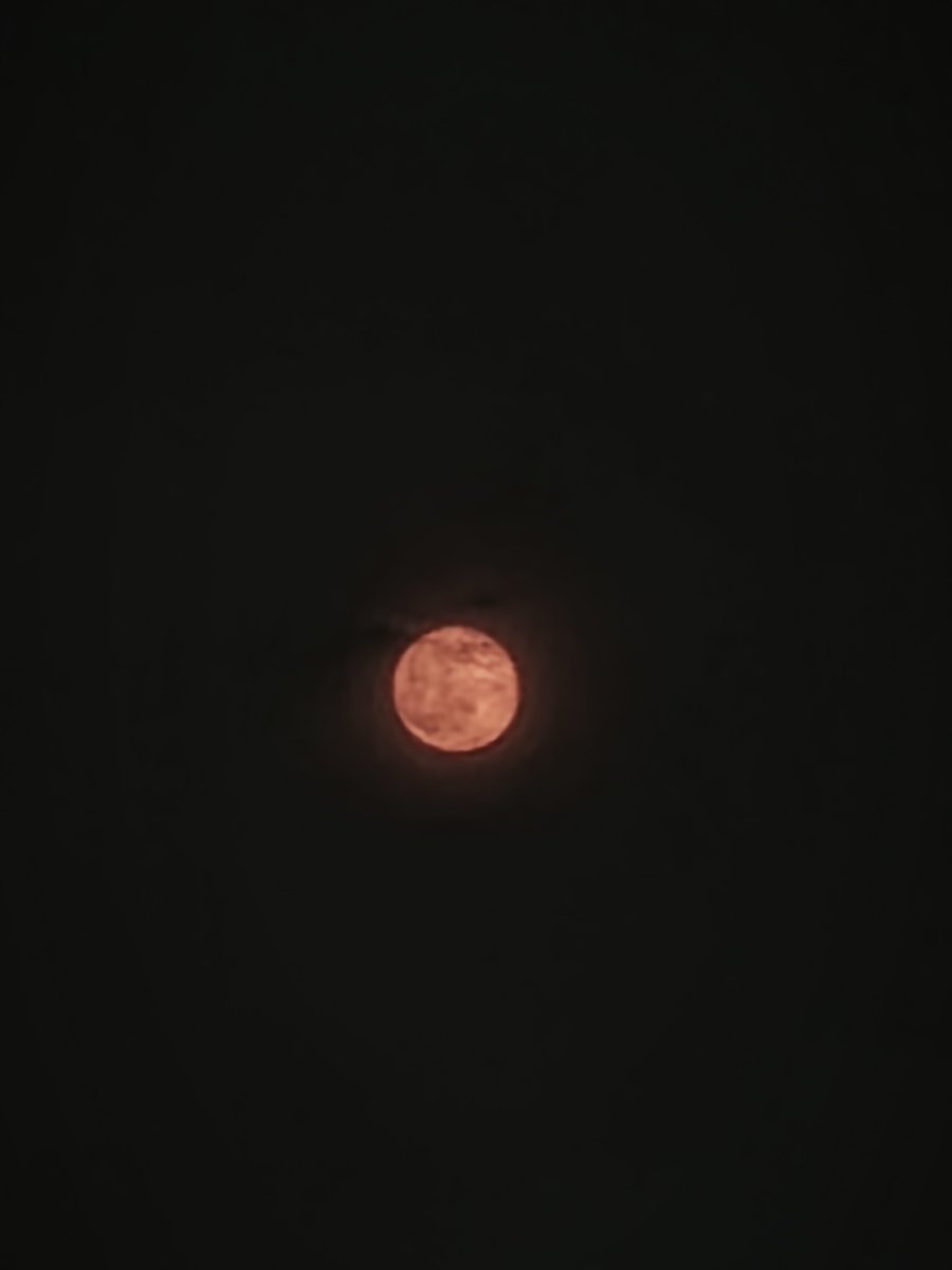 paratingpagod's tweet photo. Y'ALL GO OUTSIDE THE MOON IS RED https://t.co/PtNuCTu7mv