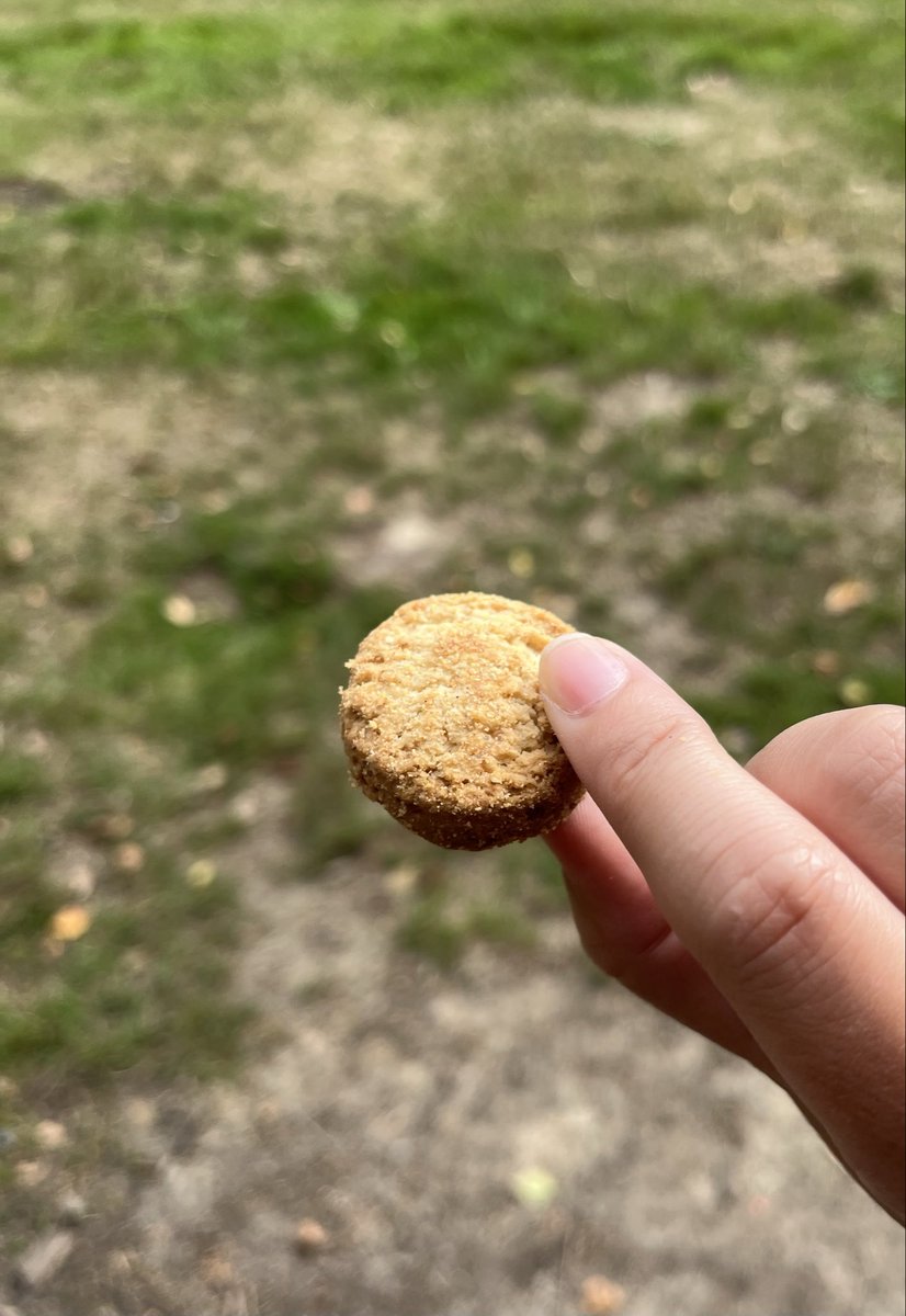 belgiumbier's tweet photo. このレモン味クッキー美味しかった。

クッキーの箱にShe's so incredibly generous(彼女は信じられないくらい寛大)って書いてあった。

美味しいクッキーにはベルギーでは寛大さも求められている https://t.co/Ym93WEqqny