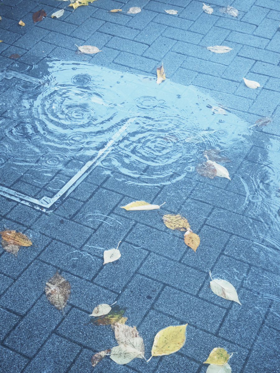 soda___oO's tweet photo. ☔️🍂 https://t.co/igCWehta2q