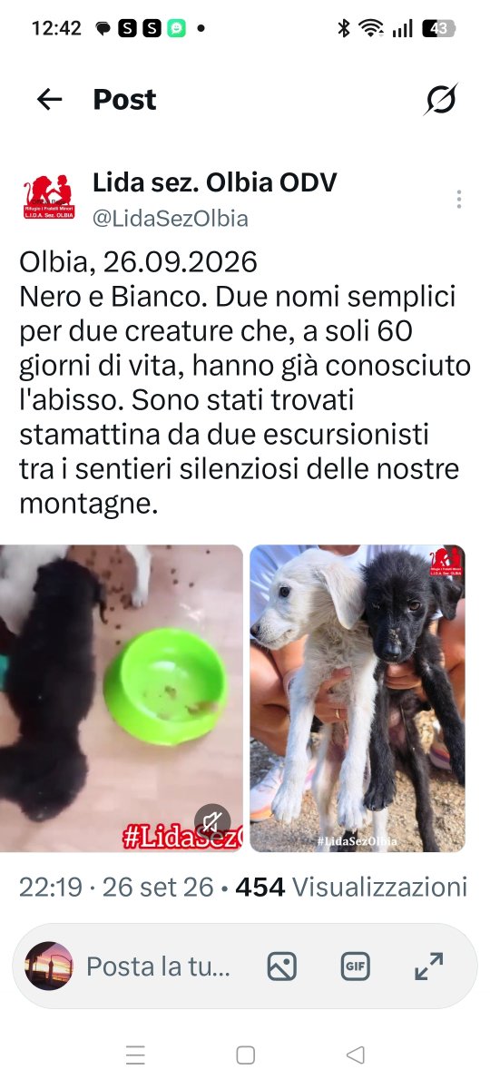 Emilystellaemi2's tweet photo. LASCIARLI DOVE NESSUNO PUÒ SENTIRLI PIANGERE, NON È SOLO ABBANDONO,
È UNA CRUDELTÀ LUCIDA, UNA SCELTA PER FARLI MORIRE DI FAME E DI SETE .
GRAZIE LIDA SEZ OLBIA ODV ♥️ PER AVERLI SALVATI, CHI PUÒ AIUTI 🙏❤️GRAZIE INFINITE ❤️ https://t.co/rrU0ZuwG87