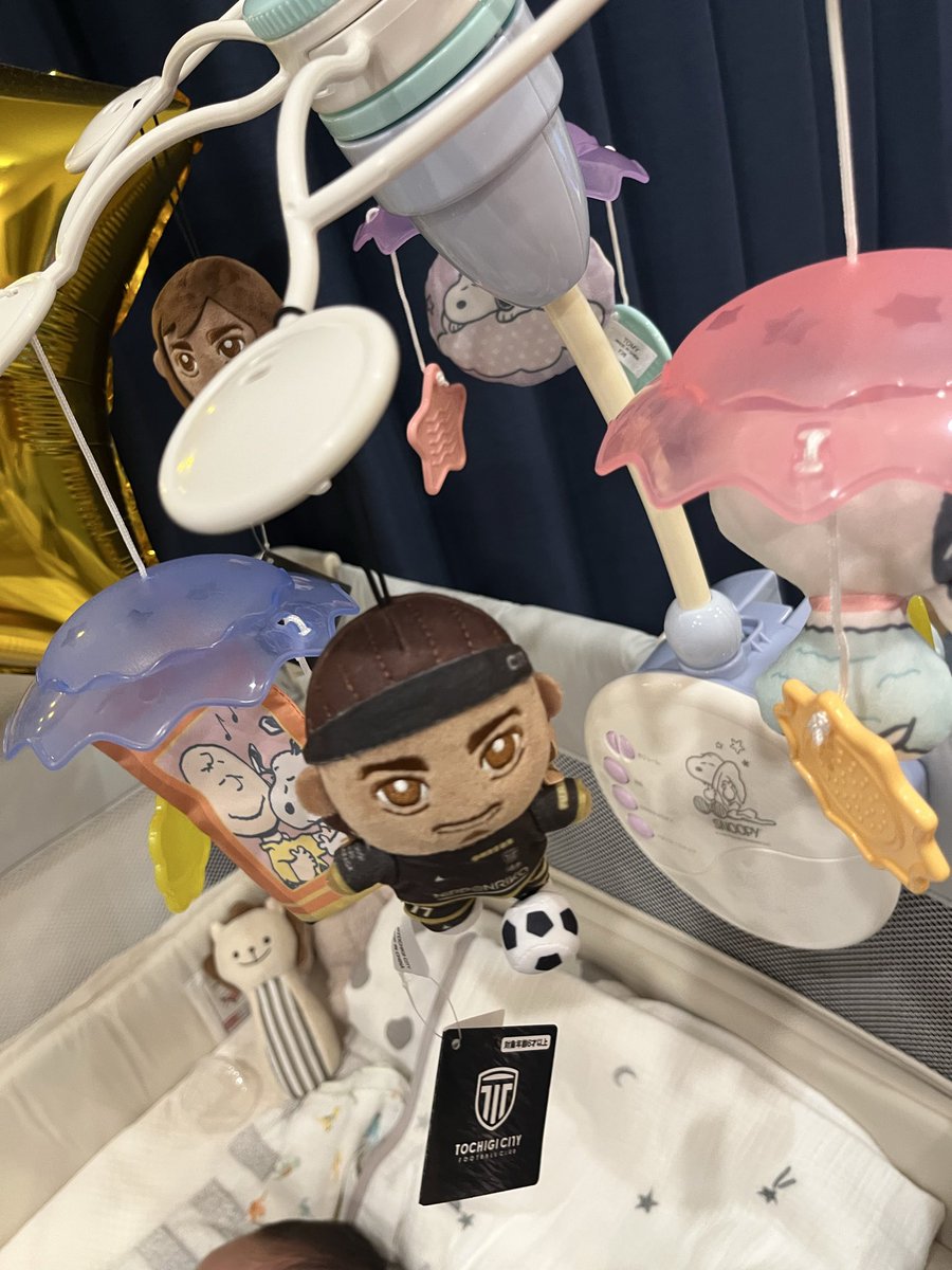 yn87600683's tweet photo. やっぱりパウロしかいない。（👶のメリー）
#田中パウロ淳一
#栃木シティ https://t.co/SP5Mxa2v2u