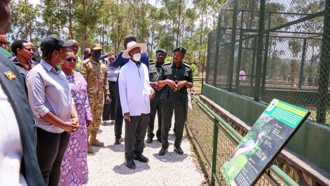 BJacquie_P's tweet photo. Ahead of the World Tourism Day celebrations in Mbale, H.E. President of Uganda @KagutaMuseveni toured the Mbale Wildlife Education Centre, where he applauded @ugwildlife for its continued efforts to conserve Uganda’s wildlife and bring conservation closer to the public.

Guided through the Centre’s semi-natural animal exhibits, the President was received by the Minister of Tourism, Wildlife and Antiquities, Hon. Tom Butime, UWA Executive Director Dr. James Musinguzi, alongside other government leaders and local officials.

The President is now presiding over the #WTD2026 celebrations at Mbale Secondary School under the theme, “Digital Agenda and Artificial Intelligence to Redesign Tourism.”

#ExploreUganda