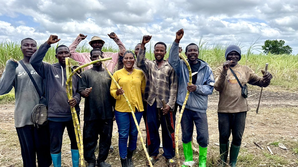 EnyonamManye's tweet photo. Farming is NOT charity work. It is BUSINESS. 🌱💰

Farmers invest money, time, labour and take huge risks. They deserve profitable prices—not sympathy.

No profit, no sustainable farming. https://t.co/Xw6RH4SyM1