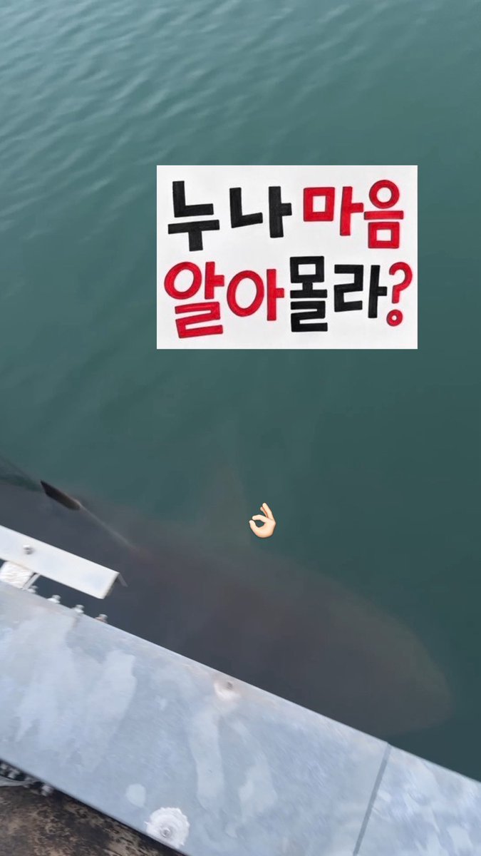 rlmrvd's tweet photo. ㅠ ㅠ https://t.co/9gMFI7fxER