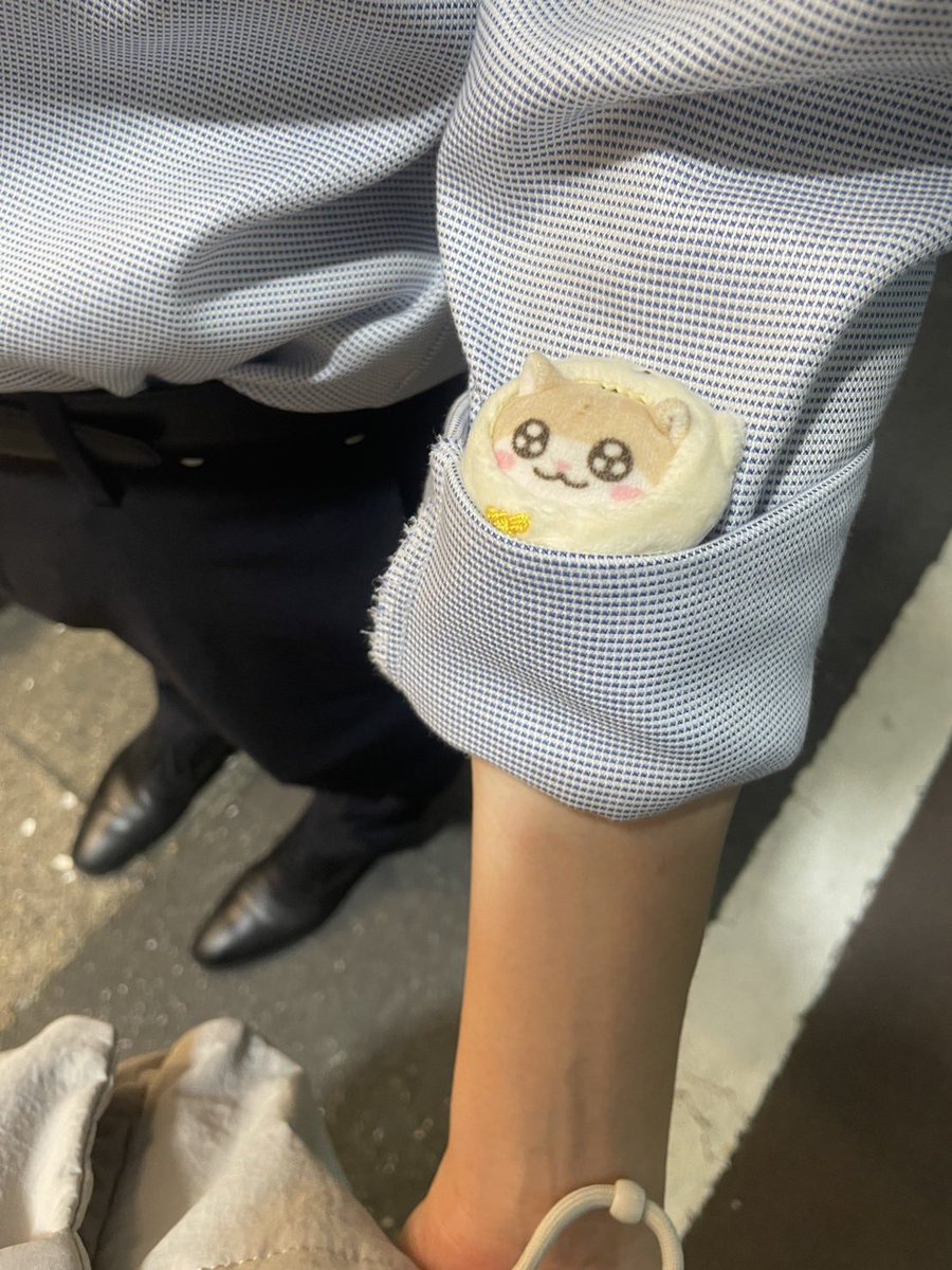 hazimemasit_'s tweet photo. #コビハムちゃん https://t.co/G4VusAIBDU