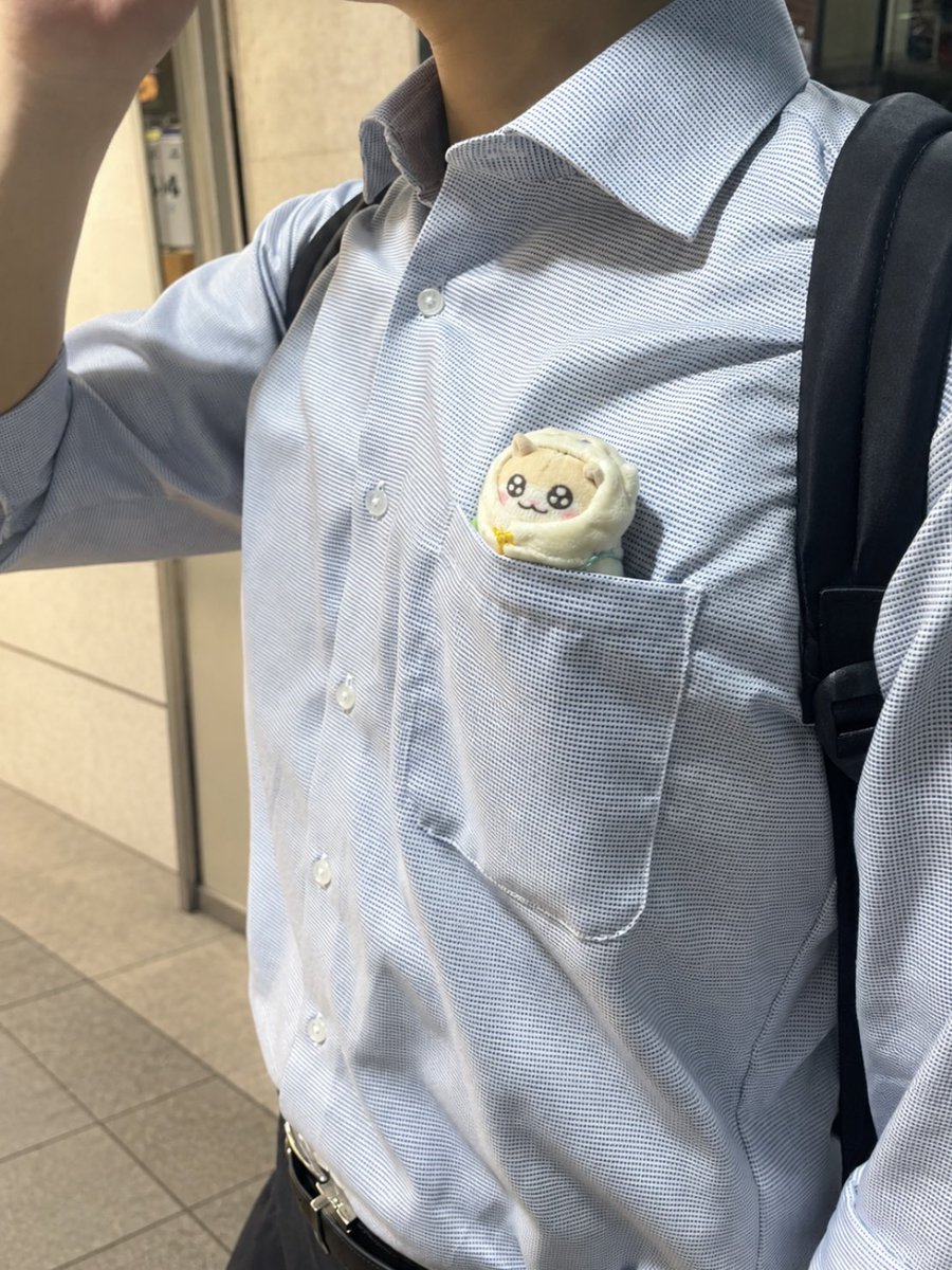 hazimemasit_'s tweet photo. #コビハムちゃん https://t.co/G4VusAIBDU