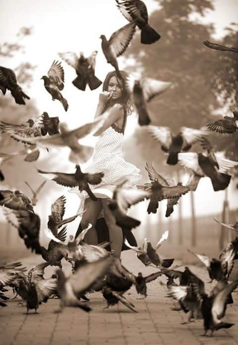 EdgarClavo1's tweet photo. Have a wonderful day.. https://t.co/86zTBoGH2M