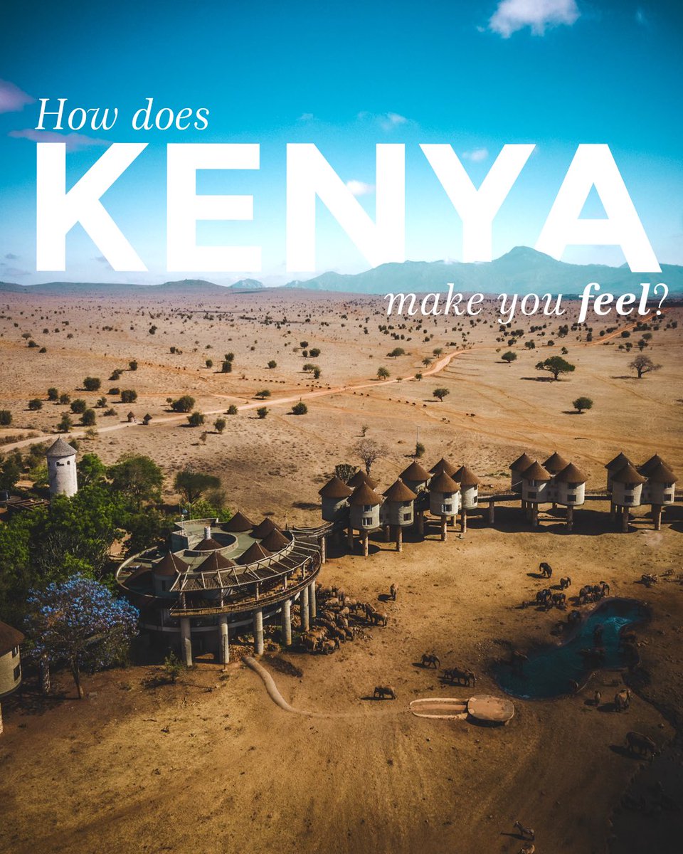 UKinKenya's tweet photo. How does Kenya make you feel?

Through the lens of photographer @abumburu, we see Kenya not just as a destination, but as a feeling.

This #WorldTourismDay, we celebrate the landscapes, wildlife, and moments that make Kenya more than somewhere to visit. https://t.co/54djNTZg4J