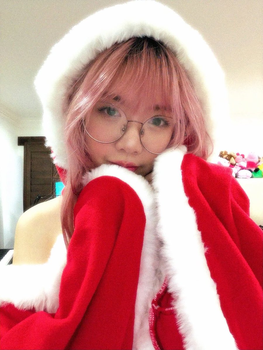 Rovervdj5's tweet photo. Lily getting into the christmas spirit https://t.co/phk7YmBYsW